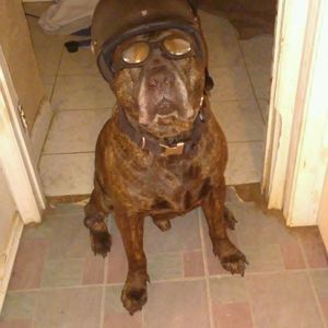 Meet your Posher, Jason